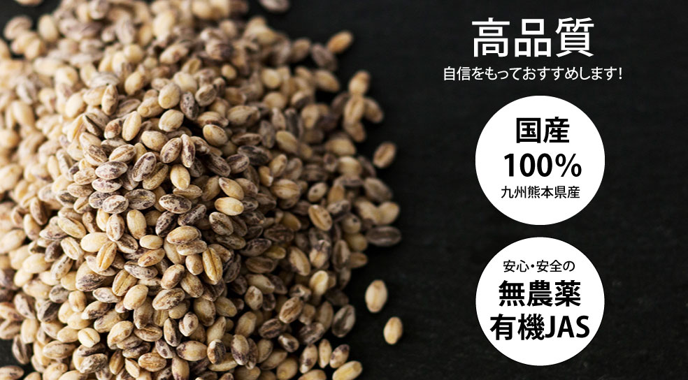 もち麦（熊本県産）無農薬・有機JAS：菊池まるごと市場
