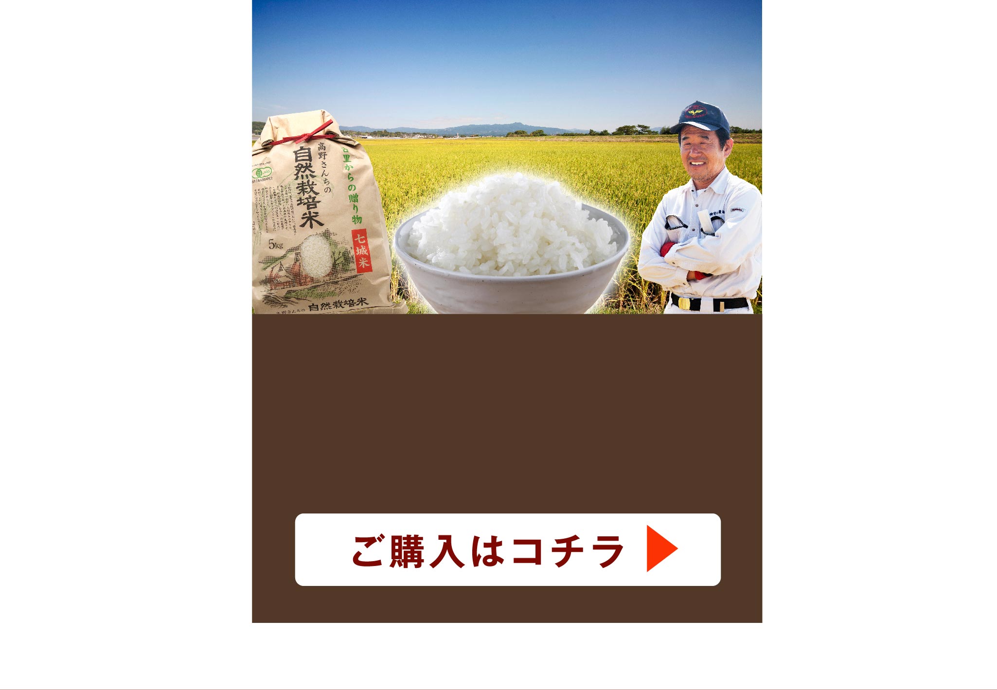 自然米‼️農家直送 自然栽培無農薬 5kg れんげ米 菊池米七城町栽培 - 米