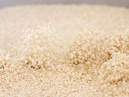 原農場の米せんべいうす塩10枚入
