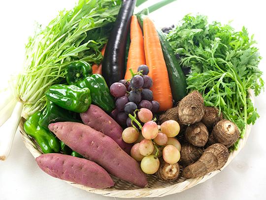 旬の野菜とフルーツセット 野菜8品・果物1品