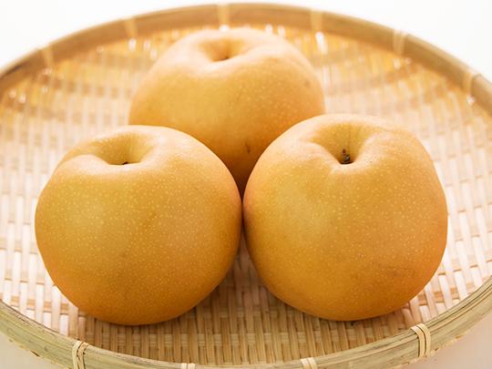 【予約】熊本県菊池産の梨 2～3玉(袋入り)
