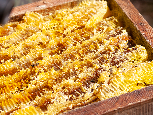 日本ミツバチはちみつ  百花蜜 135g