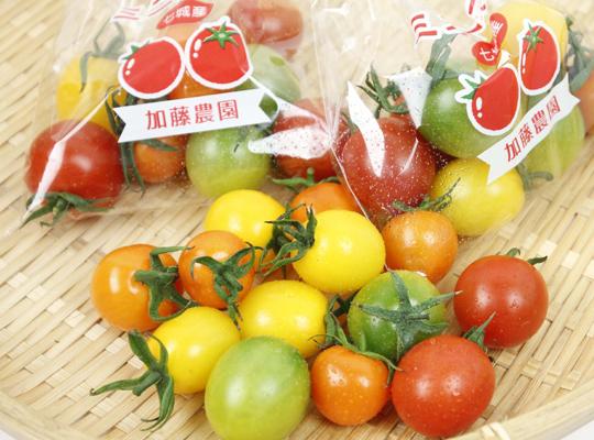 加藤農園のミニトマト詰め合わせ