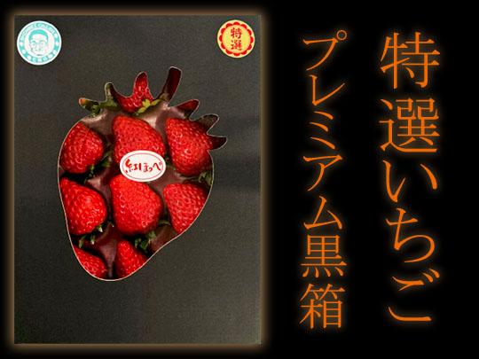 特選いちごプレミアム黒箱（約9粒）七楽の郷